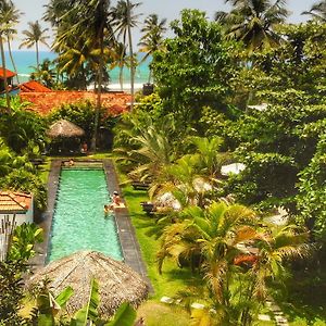 Turtle Eco Beach